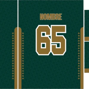 Celtics Concept Green
