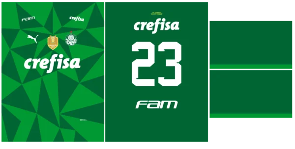 Palmeiras Home Kit 23