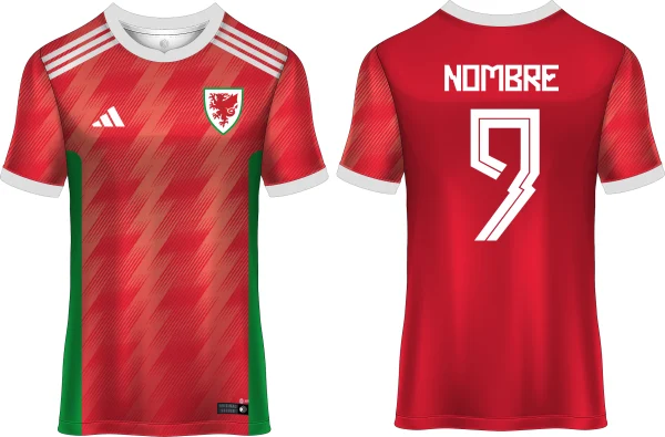 Camiseta GALES 2023