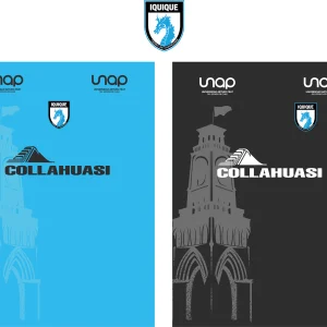 Iquique 2024 Local