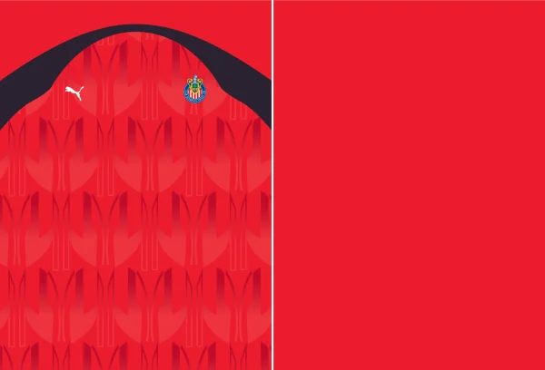 Club Deportivo Chivas Usa