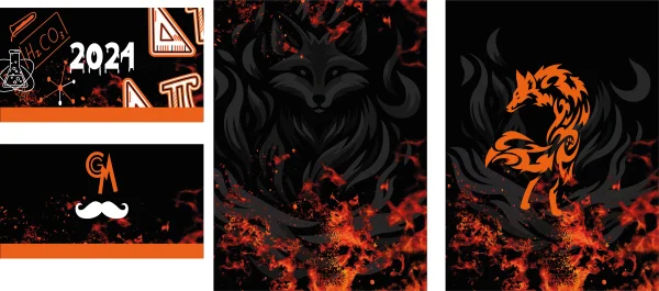 Sports Pattern Fox Concept