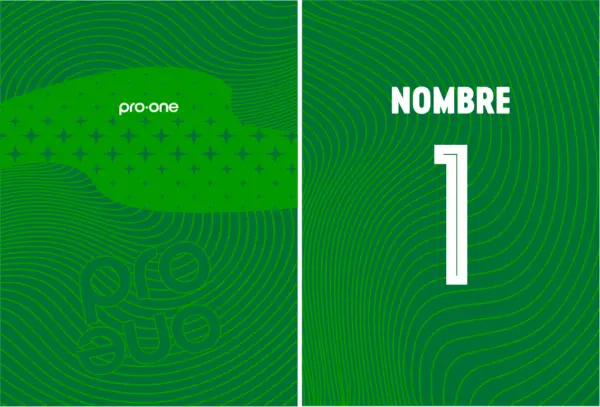 Pro One Portero Green 24 PRO