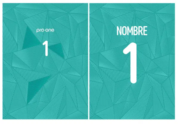 ProOne Portero PRO