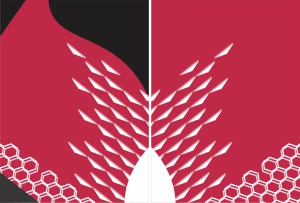 Bij Sport Geometric Rojo
