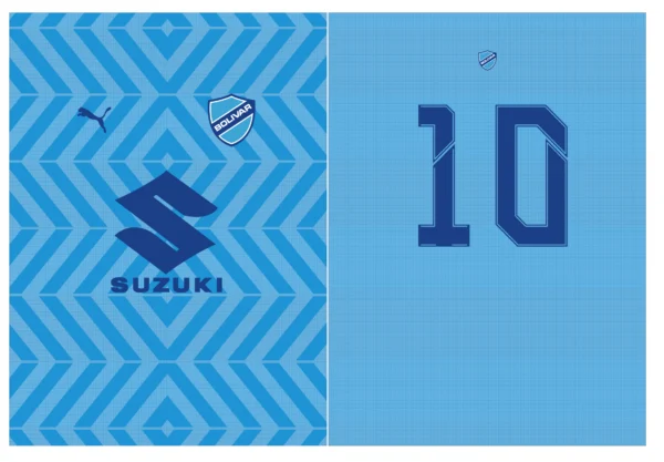Bolivar Home Kit Puma 24