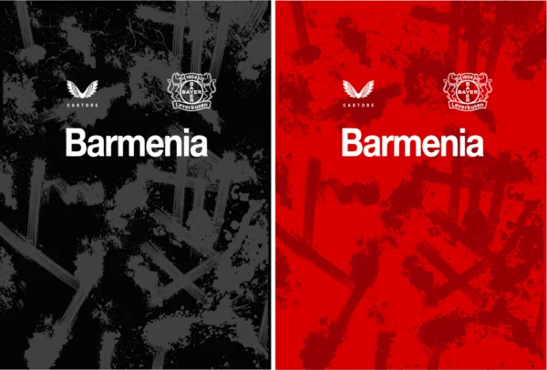 Bayer 04 Leverkusen Concept 25