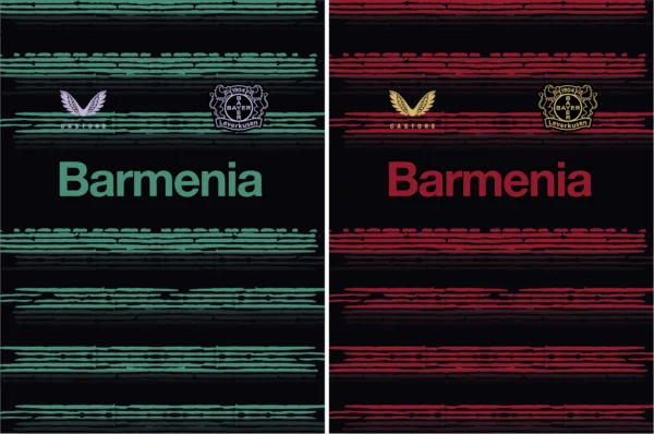 Bayer 04 Leverkusen Rojo Plomo
