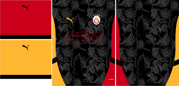 Galatasaray Concept 25