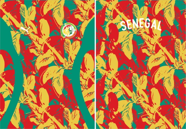 Senegal Pre-Match 24-25