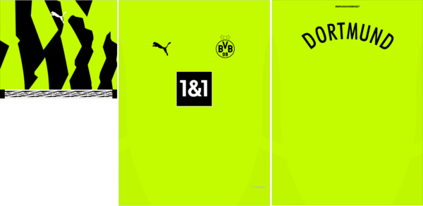 Borussia Dortmund Especial 24-25