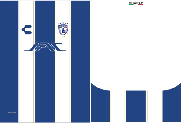 Pachuca Home Kit 25
