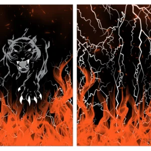 Pantera Fuego Orange Interclasse