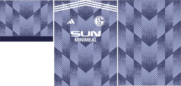 Schalke 04 Alternativa 24-25