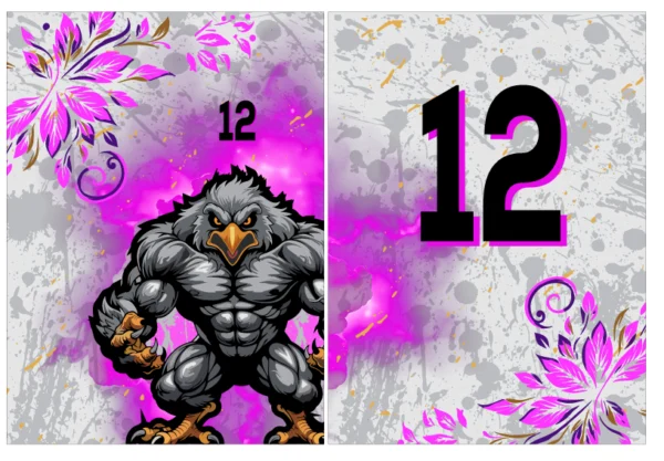 Angry Bird Interclasse 25