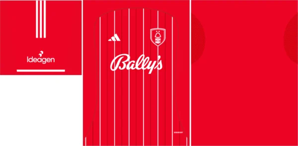 Nottingham Forest Home Kit 25