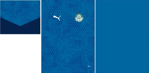 Palmeiras Training Blue 25
