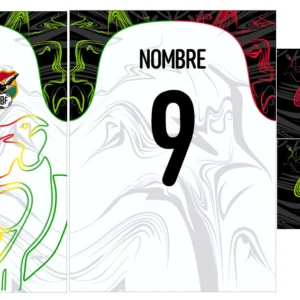Bolivia Condor Concept