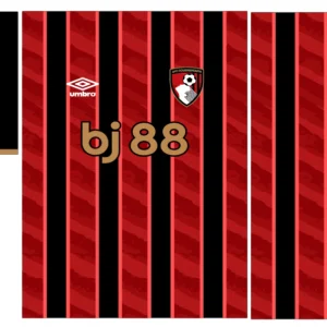 Bournemouth Home Kit 25