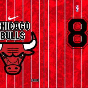 Chicago Bulls Concept 25
