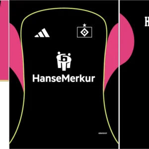 Hamburger SV Third Kit 25