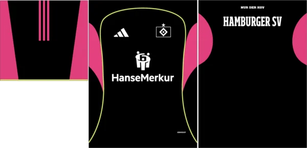 Hamburger SV Third Kit 25