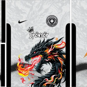 Dragon Interclasse Gris 25