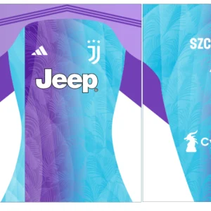 Juventus Portero Degrade Concept 25
