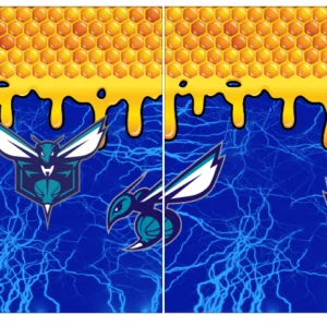 Honey Concept Basketball