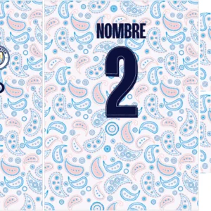 Manchester City Third Kit 20-21