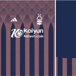 Nottingham Forest Third Kit 24