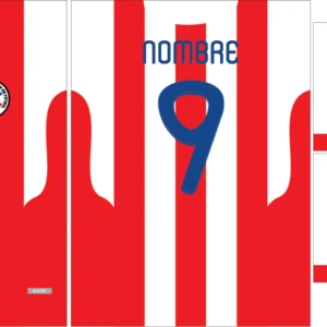 Paraguay Home Kit 2008-09
