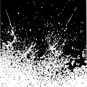 Splash Vector Design