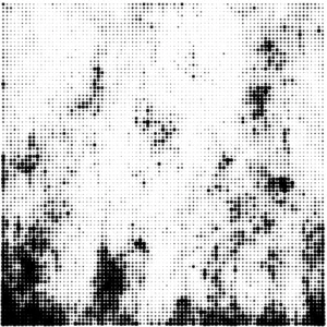 Textura Semitono Punteado Blanco-Negro