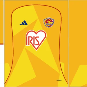 Vegalta Sendai Home Kit 25