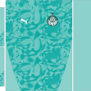 Palmeiras Training Kit 26