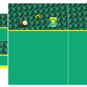 Sudáfrica Home Kit 20-21