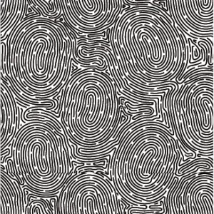 Textura Barcelona España Released 26