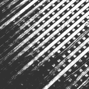 Textura de madera seca vieja