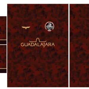 AAAU Sport Grunge Concept 26