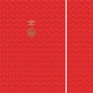 AFC Bournemouth Away Kit 24-25