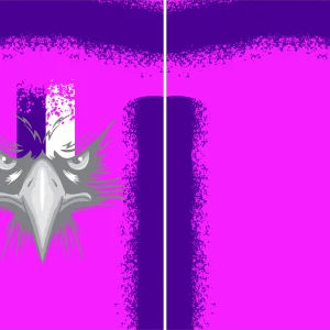 Aguila Grunge 25 PRO