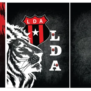 Alajuense Leon textura VS26