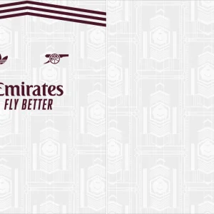 Arsenal Third Kit 25