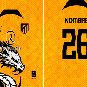 Liverpool Concept Dragons 24