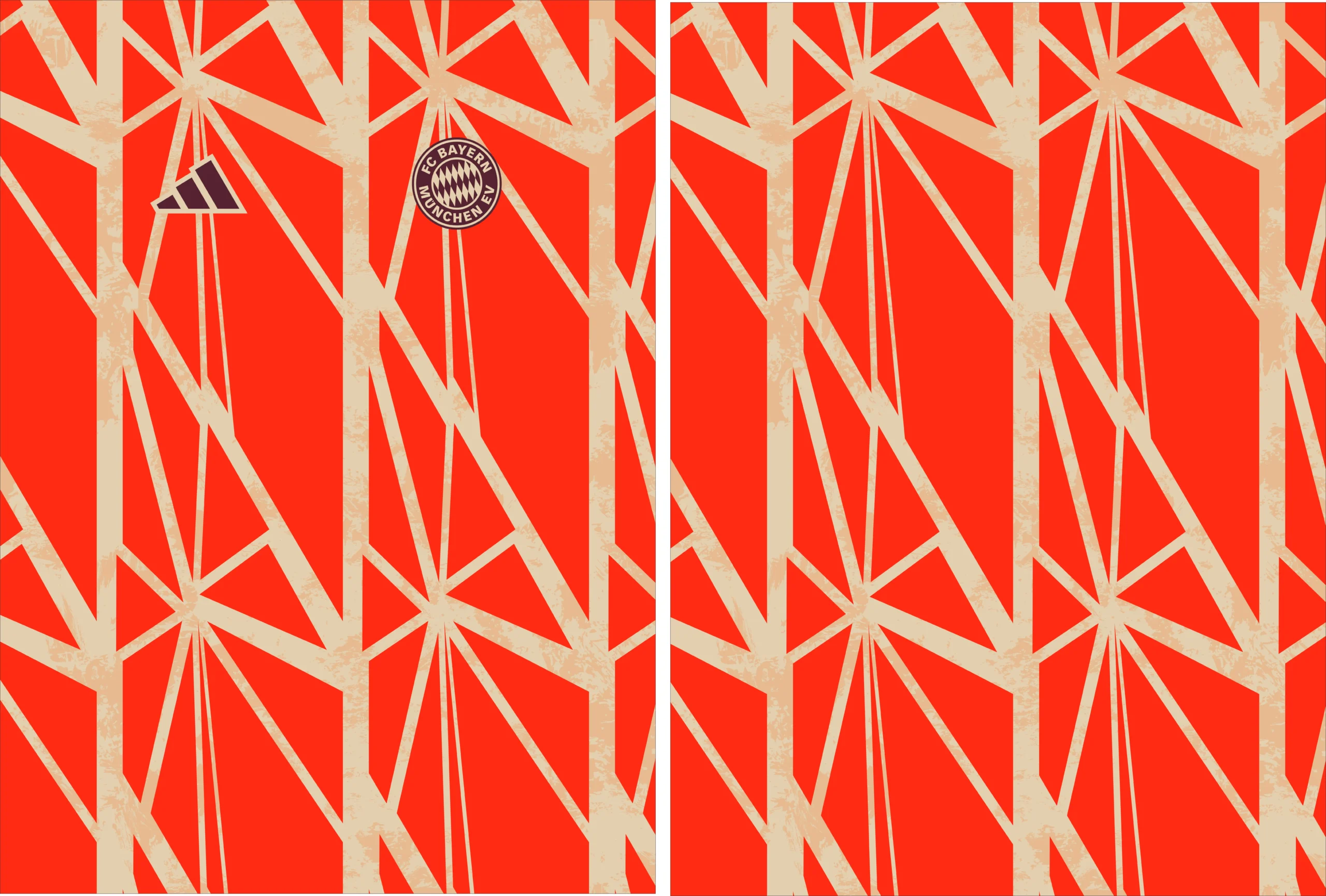 Bayern Munich Pre-Match 24-25