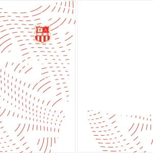 Belouizdad Away Kit 24-25