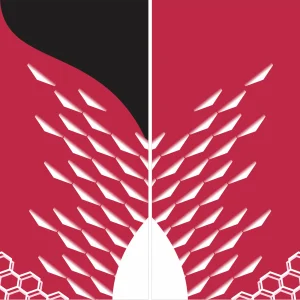 Bij Sport Geometric Rojo