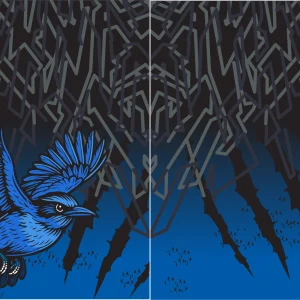 Bird Interclasse Azul VS25