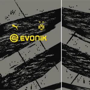 Borussia Dortmund Grunge Gris